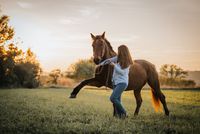 Tiershooting Bonn (2)